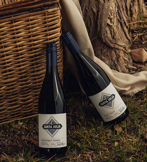 LANZAMIENTO-FEED-1-R3