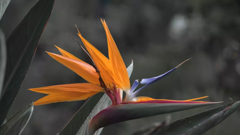 arjun-babu-Ev91Zq2rcPI-unsplash