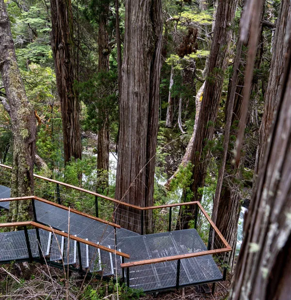 TORRECILLAS-ALERZAL_GLAXIAR-108