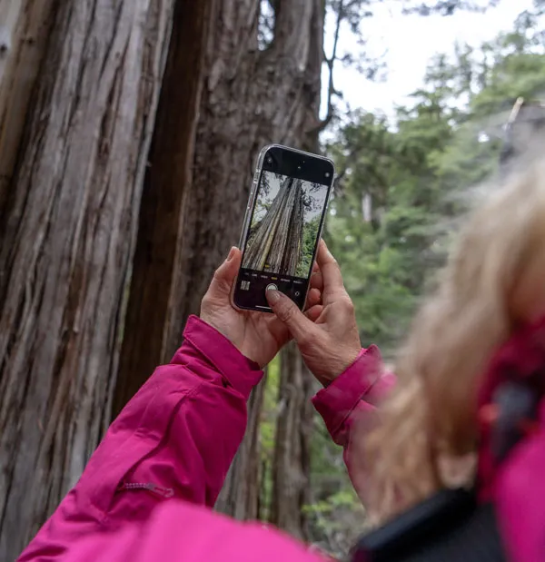 TORRECILLAS-ALERZAL_GLAXIAR-106