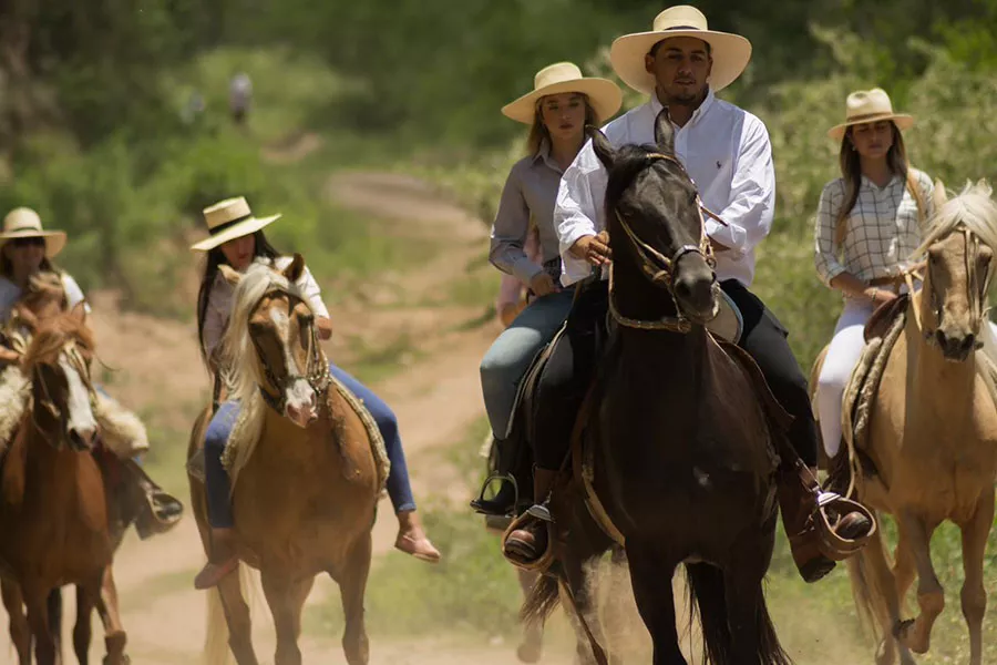 WhatsApp Image 2023-03-20 at 17.38