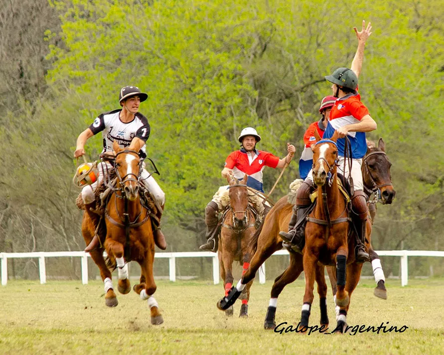 CHASCOMUS VS VENADO TUERTO