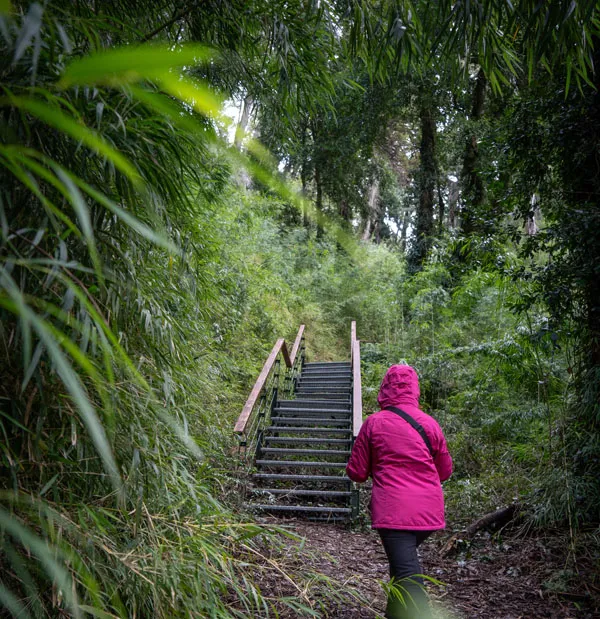 TORRECILLAS-ALERZAL_GLAXIAR-97