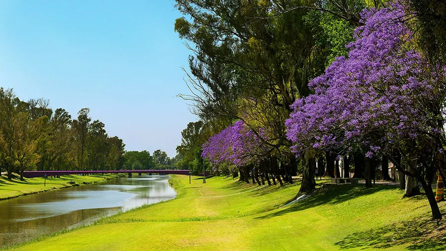PERGAMINO- Arroyo y terraplén