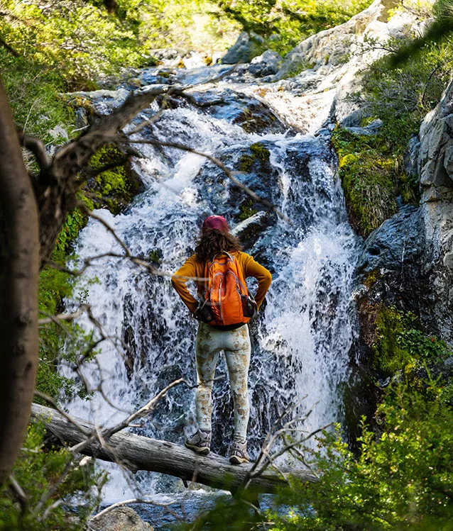 Sendero Curva de los guanacos