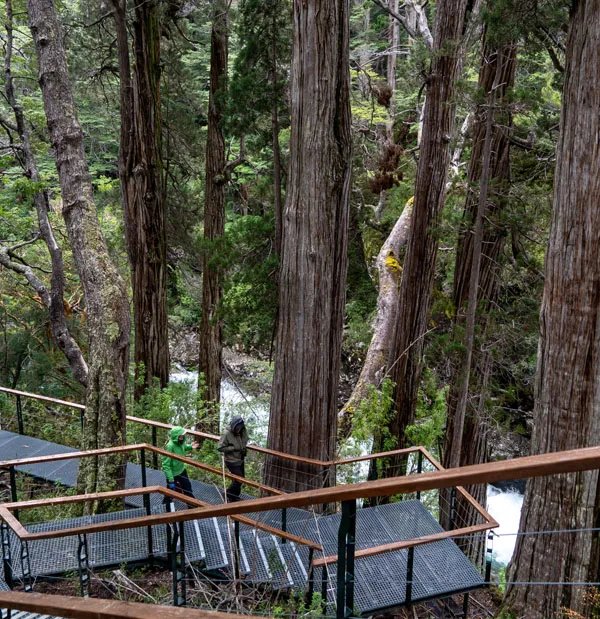 TORRECILLAS-ALERZAL_GLAXIAR-112