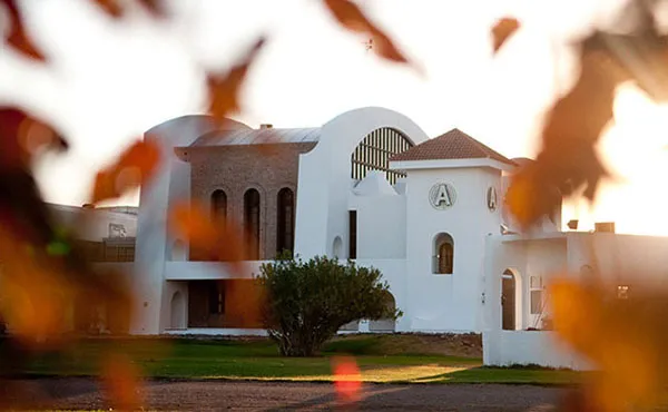 Vitivinicultura-Argentina-2