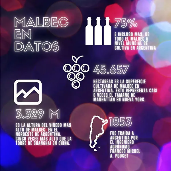 438953038_410306631725030_756240280238361339_n