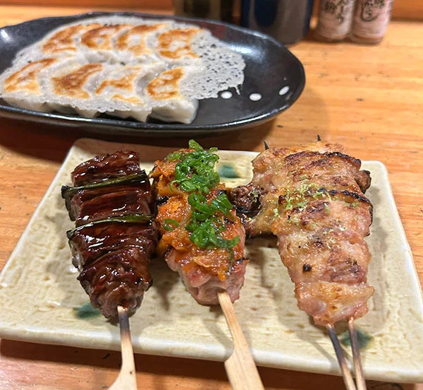 Kushiyaki surtido y gyoza
