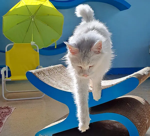 WhatsApp Image 2024-09-23 at 13.56.00 (3)