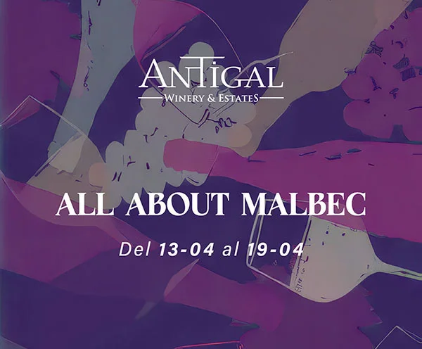 All About Malebc - Sorie y Feed-04.jpg - copia