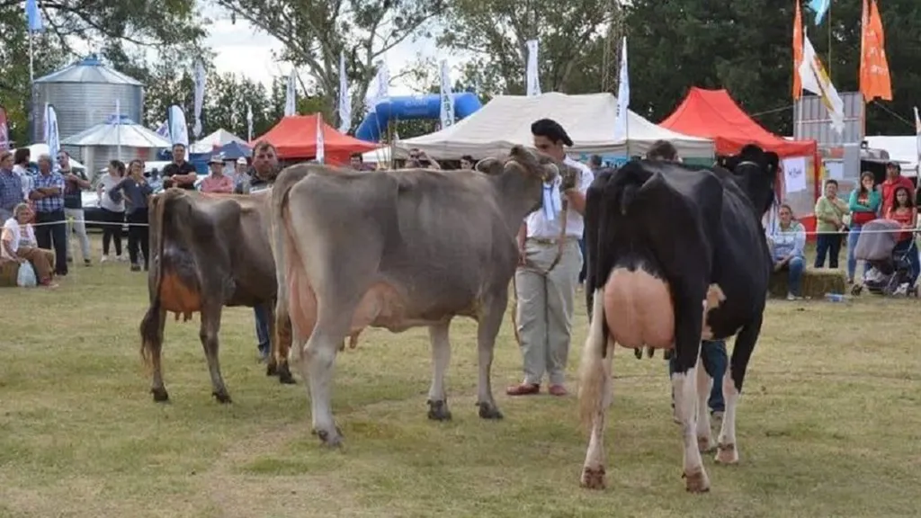 WhatsApp Image 2025-04-21 at 10.54.28