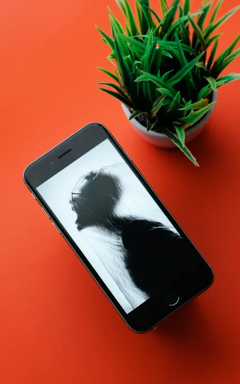 shiwa-id-ZM5dAqCh9AA-unsplash(1)