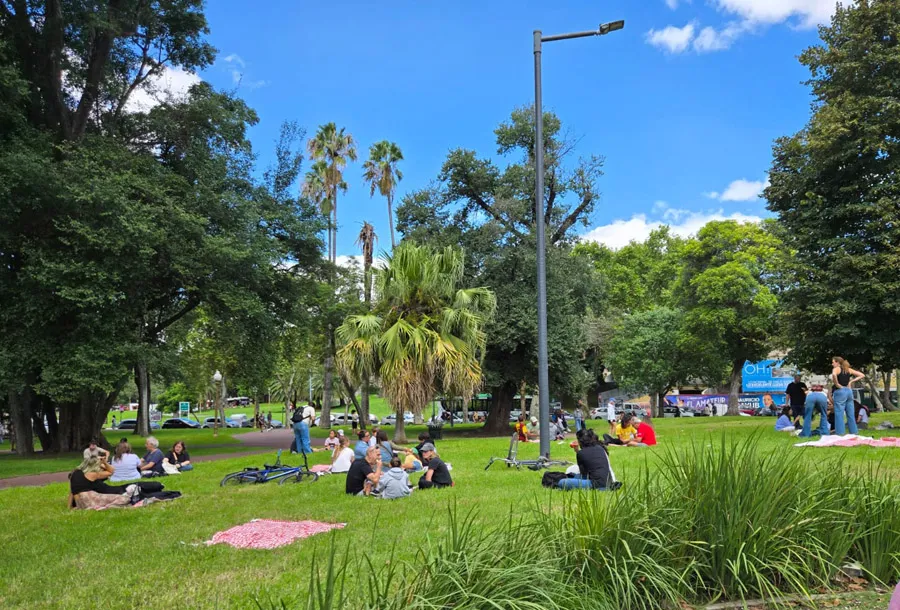 _Picnic(1)2