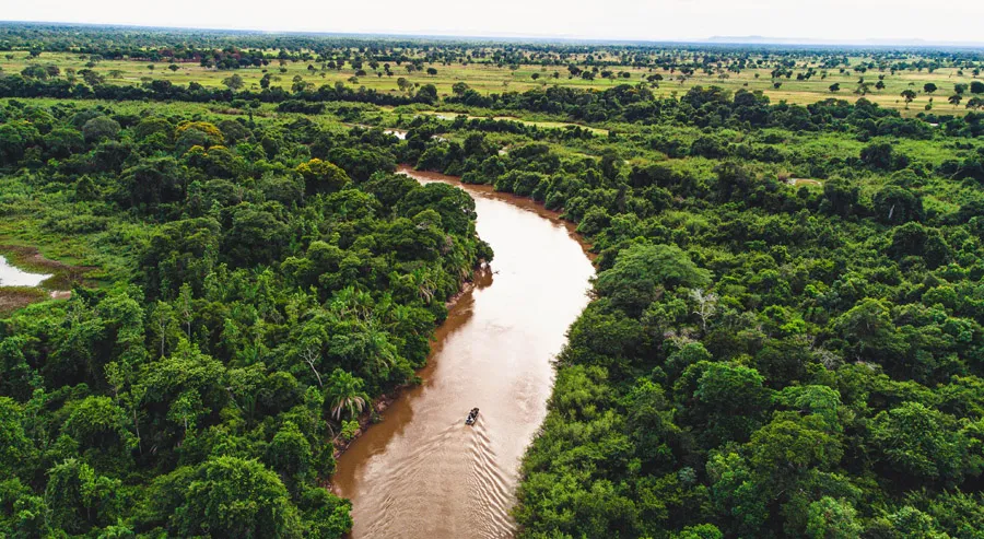 Pantanal (Brasil)