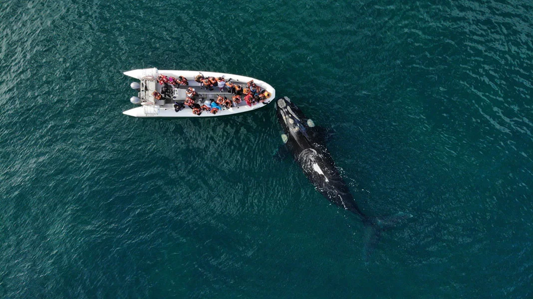 Barco