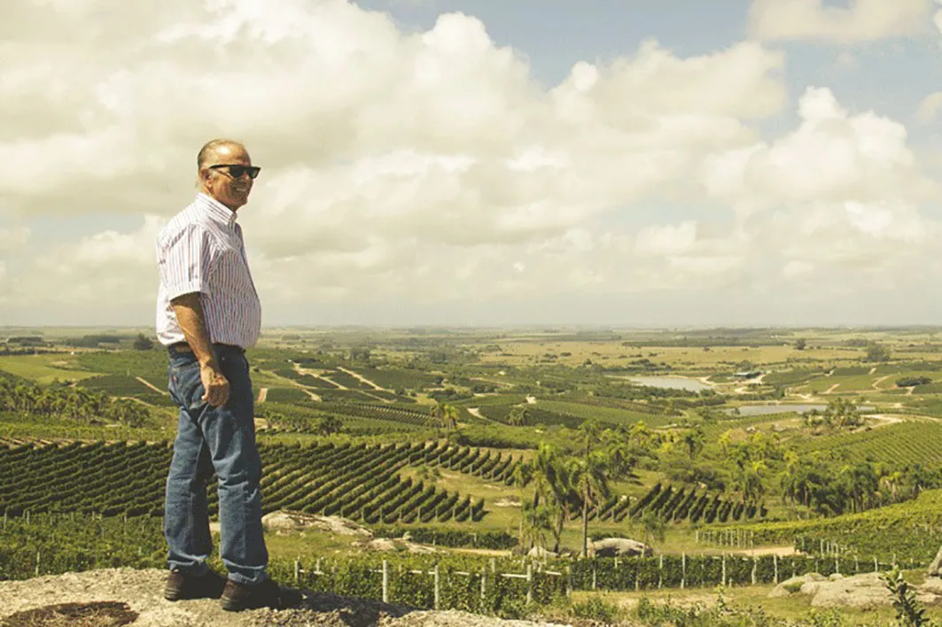 Bulgheroni viñedos copia