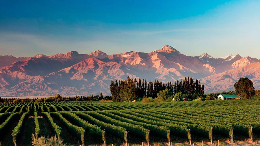 MENDOZA