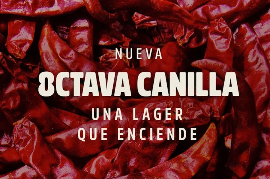 Chilly Merkén copia 1