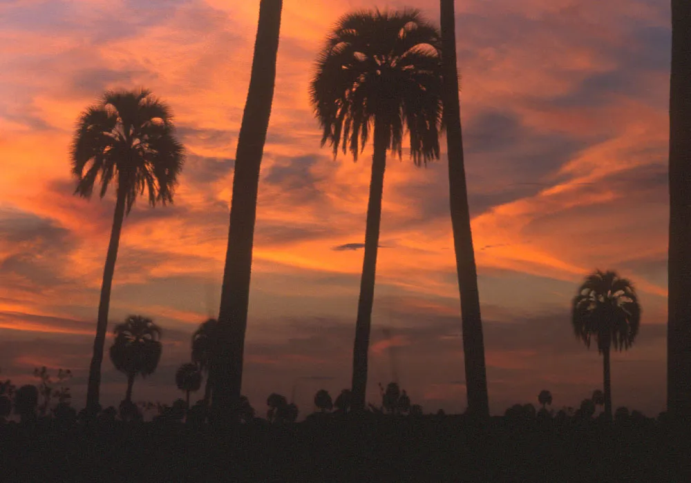 RNRPA - La-Aurora-del-Palmar-Ubajay - Entre Ríos