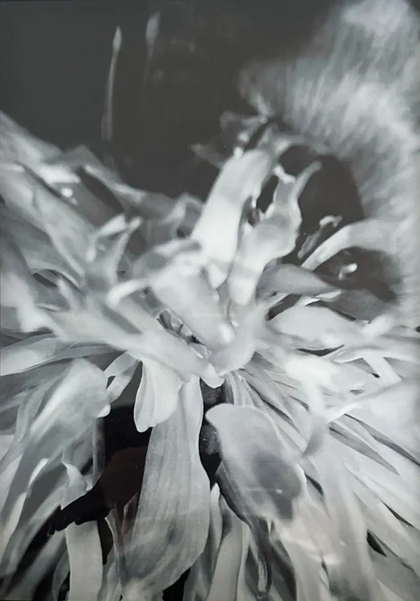 Imagen de WhatsApp 2025-05-14 a las 15.15.50_82135c68