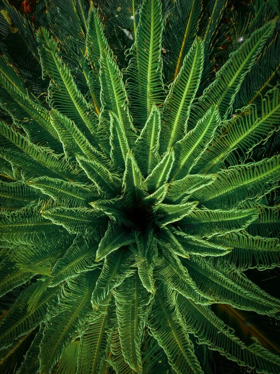 urja-bhatt-Xavq2b4h0-M-unsplash