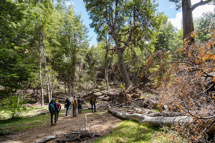 Mindfullnes y Aventura-75