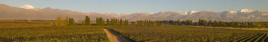 WhatsApp Image 2025-12-19 at 14.48.01