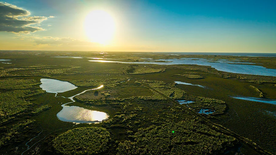 DJI_20260304184258_0104_D (1) (1)
