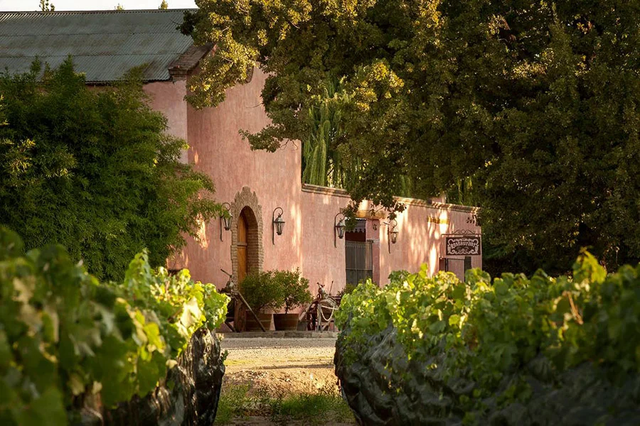 Chacras de Coria (2)