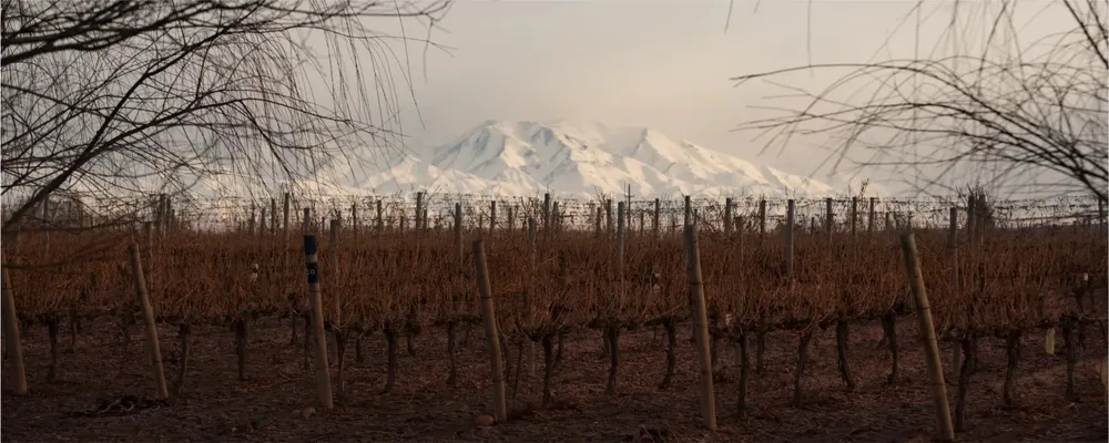 WhatsApp Image 2025-05-23 at 22.48.02