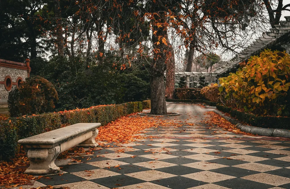 ilia-ez10tA4dFXc-unsplash