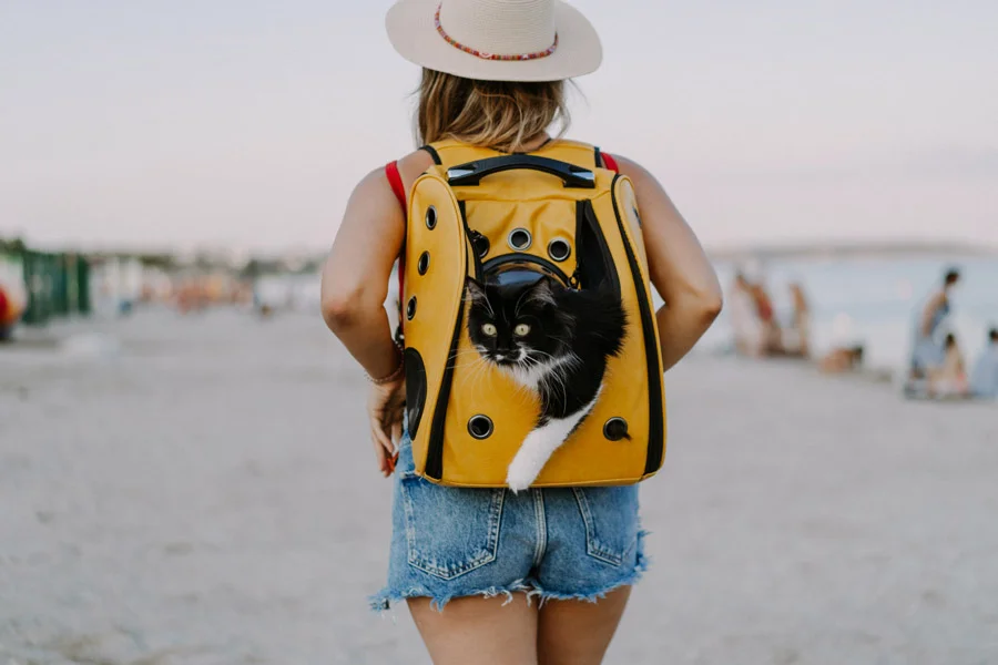 Seis de cada 10 argentinos eligen alojamientos “pet friendly” (4)