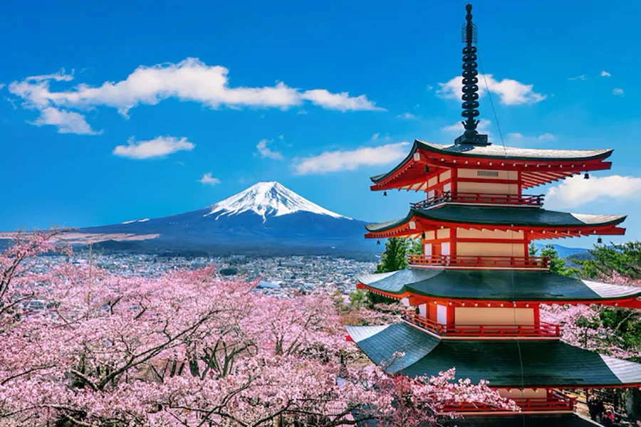 cerezos-flor-primavera-pagoda-chureito-montana-fuji-japon_335224-213