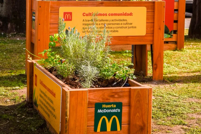 Huerta 1 copia