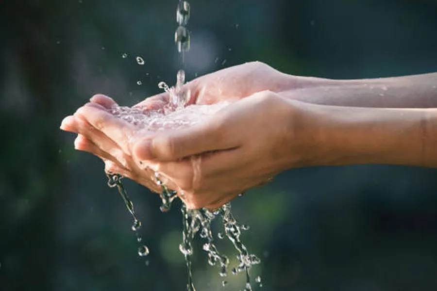 istockphoto-1194059791-612x612