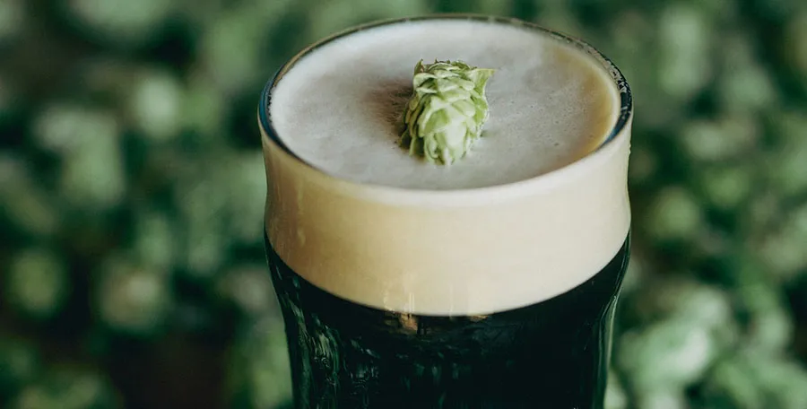 Black IPA, Cerveza Patagonia 1