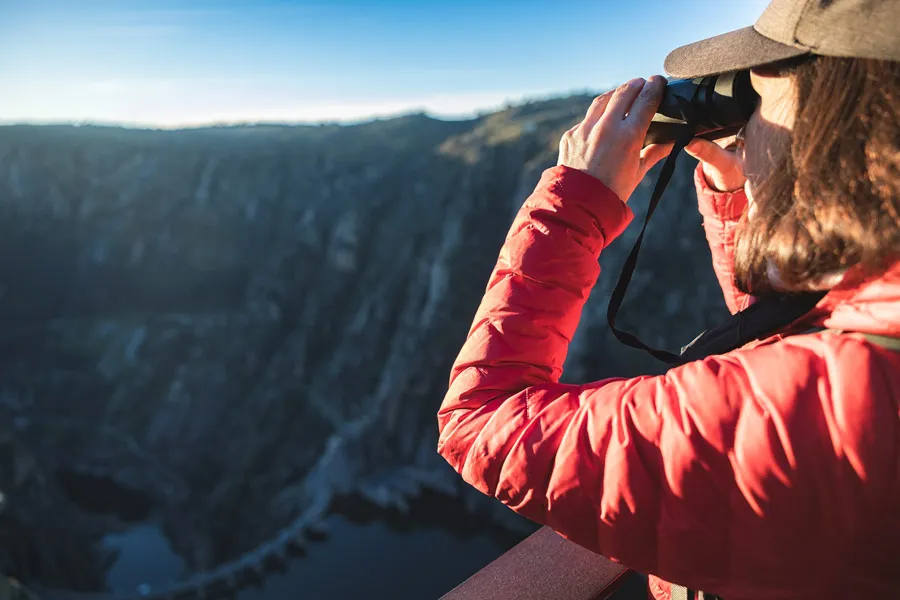 ¿Viajar para ver polillas, insectos y mariposas