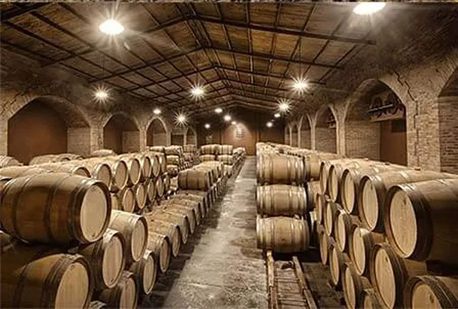 WhatsApp Image 2025-04-17 at 14.21.09 (1)