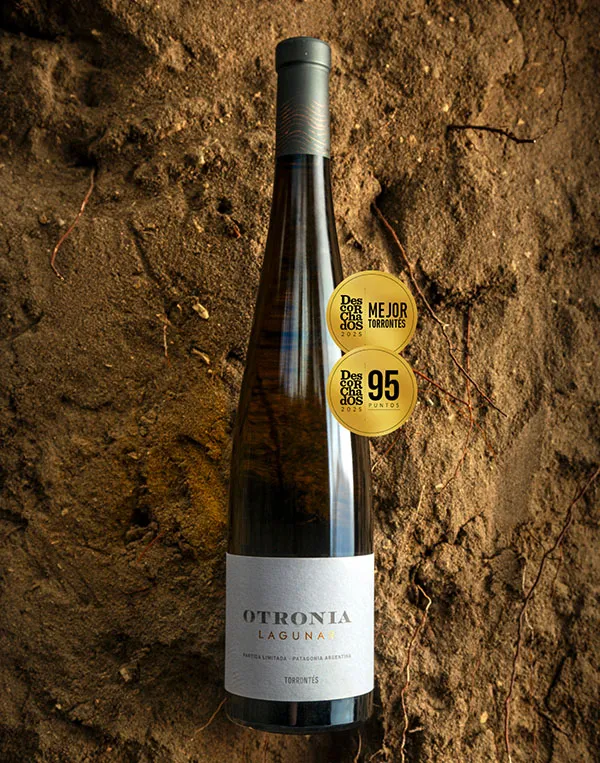 OTR - DESC 25 - IG - LAG TO 95-