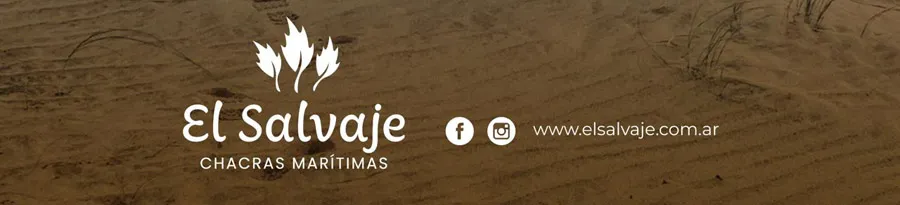 flyer safari fotográfico-4