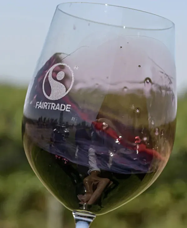 WhatsApp Image 2026-01-22 at 2.16.16 PM (1)