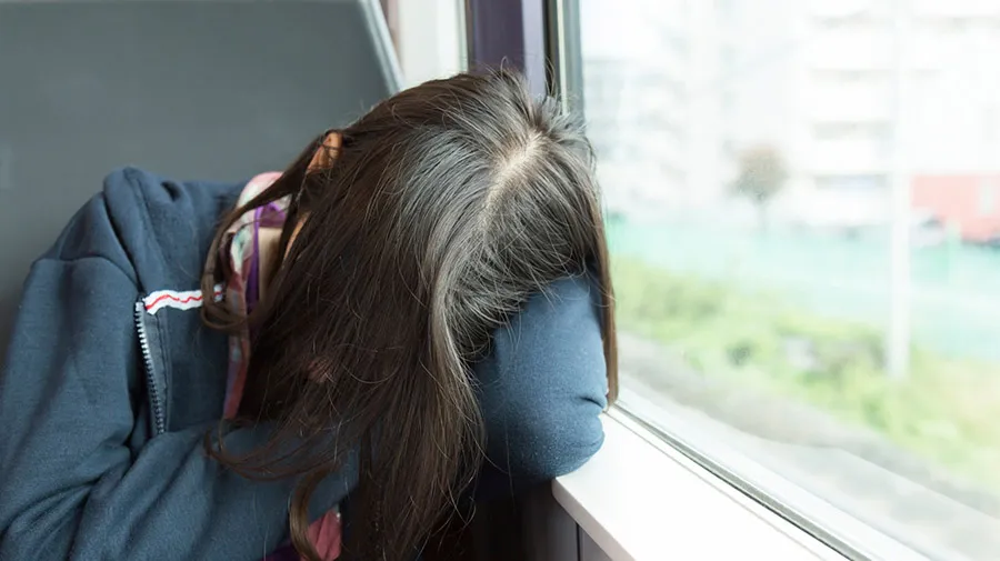 Dormido Bus