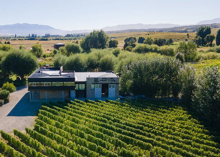 Viñas Nant y Fall 3