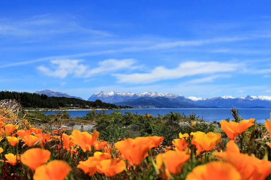 rimavera-bariloche