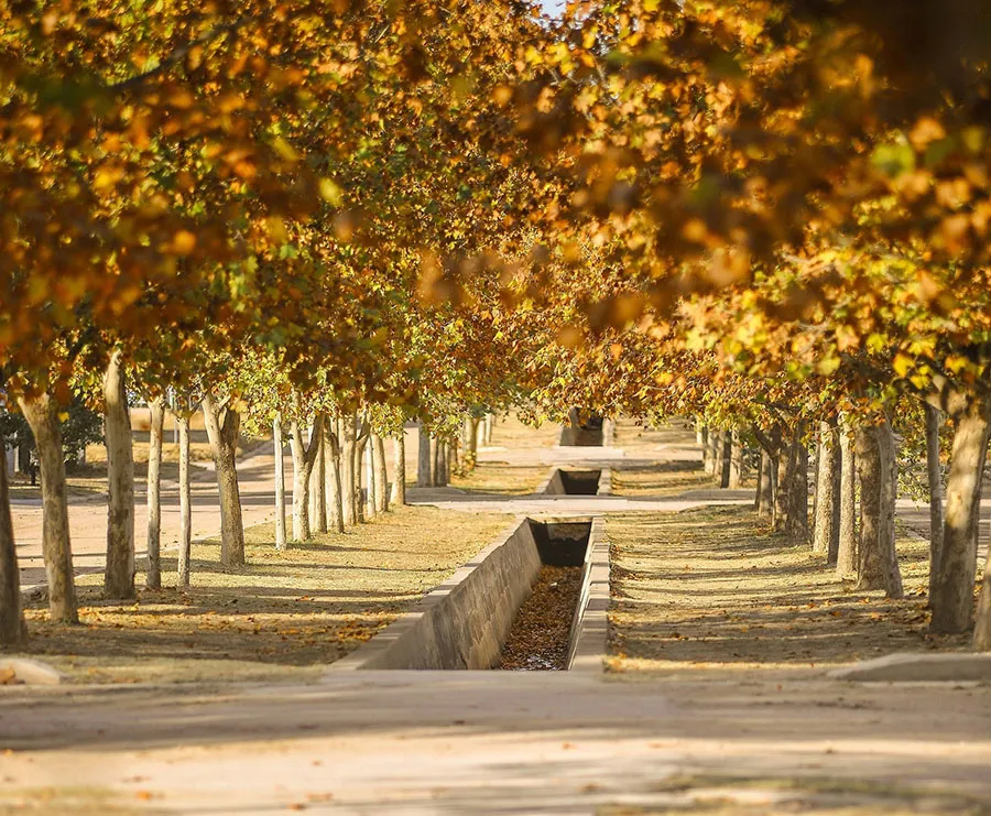 9 ALMAFUERTE - Canal Molina