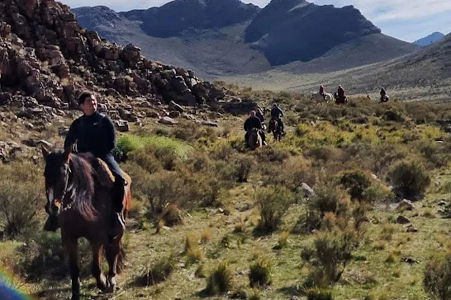 SIERRA DE LA VENTANA campo equino1