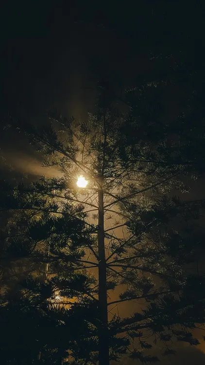 a-a-PVqjs5YH-aM-unsplash