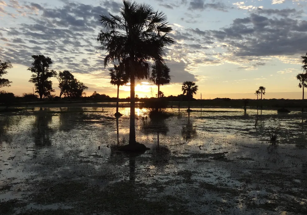 RRPA  - Camba-Trapo-Esteros del Iberá