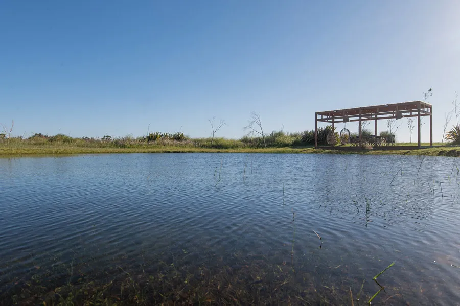 El salvaje - Semana mundial del agua 3